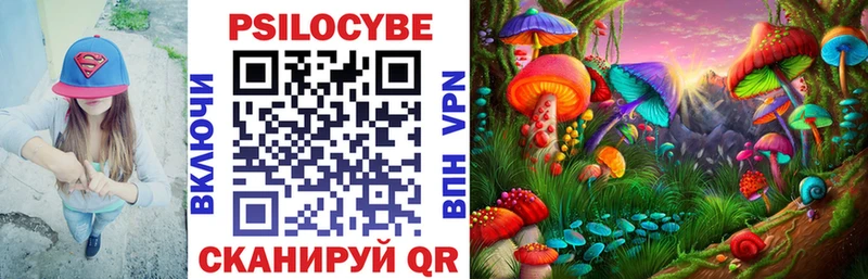 shop какой сайт  OMG как войти  Галлюциногенные грибы Cubensis  Чайковский  где можно купить  