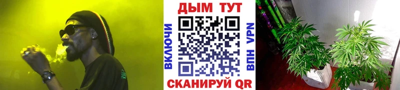 МАРИХУАНА планчик  Чайковский 